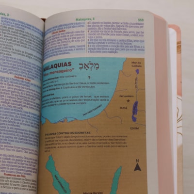 image_bc74e2ce-8027-42d2-b74a-514bdcacef54