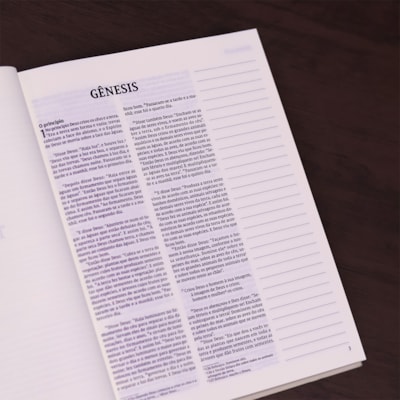 image_28cf8b21-e0d6-4f18-8c45-75ee0b074057