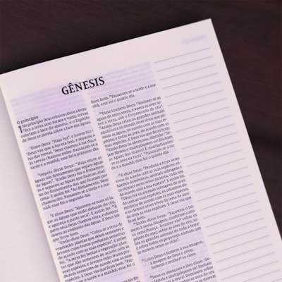 image_b706b40d-7c7e-4616-8373-78329566fb15