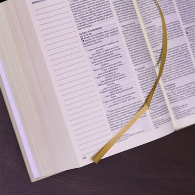 image_0a706e14-4fcd-4293-8218-0012a79fb953