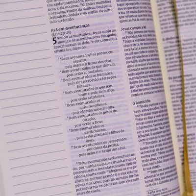 image_5c167bd9-7980-4f50-87ad-edbb348e7e35