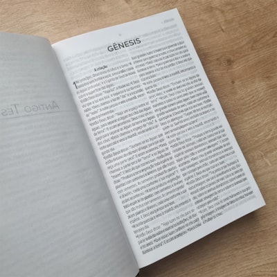 image_1e8923ed-ea5e-44af-9cd3-a53ebbcbae56