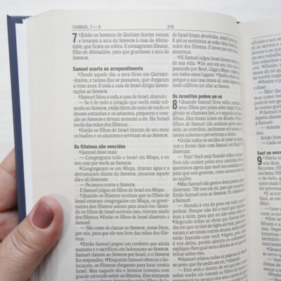 image_ec0d0460-ced0-48e7-b3c1-1dbb635cec80