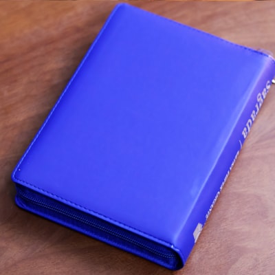 image_a04a4c7a-731d-41c7-84fe-3f1c65dd00d3