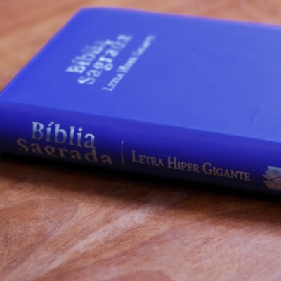 image_d01267fb-3b98-426b-aa65-eae0cdd4c3a1