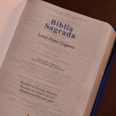 image_556a3788-61e7-48f8-9b8c-26f20843c514