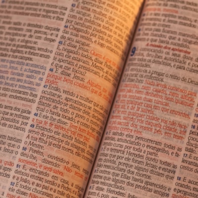 image_e6698e1a-541d-4288-9565-efc07449f4f8