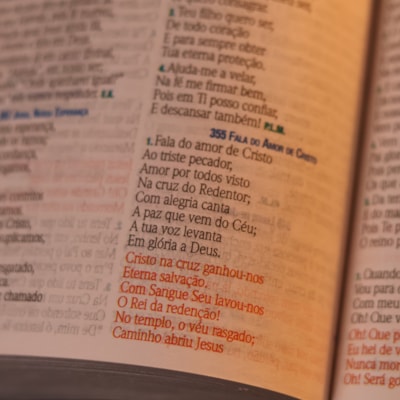 image_54a0622d-ec2e-42f1-9bfe-9faa90237338