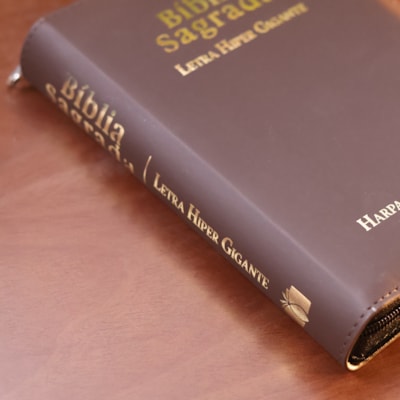 image_79371e5c-f454-4e3b-9375-434c1d6921ff