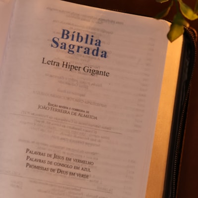 image_8ed61a28-0e4f-467f-9416-3bc65041a614