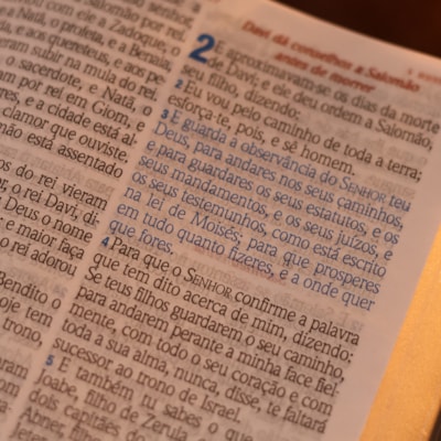 image_a500b2f1-4be2-4f6f-b739-83cff08028f1