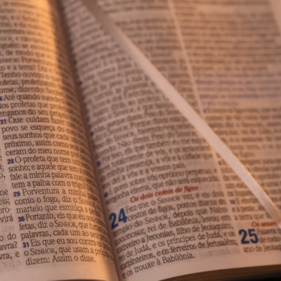 image_626e49b1-2ebe-4864-826a-d2afbc94708c