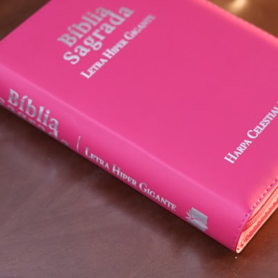 image_e5787a63-0374-45d5-aef8-705dc6828a1f