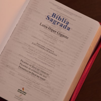 image_354a91c6-4ea0-4cdd-950d-ce5cc2fe1c2d