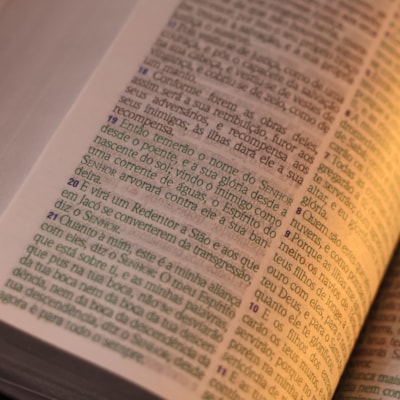 image_7f0d8809-7cda-4c09-96b7-90197cc093bc