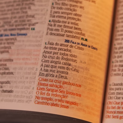 image_80582e57-e4d4-4258-aabf-d67b950218d4