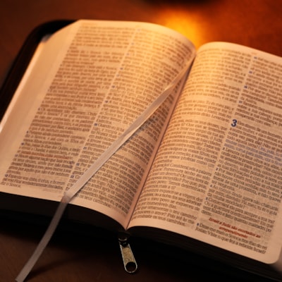 image_2483308c-2a52-48f8-98d2-3decefee550b