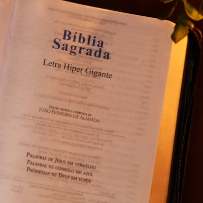 image_a3e00e4d-d373-4d7a-a406-ccf7e0b153b4