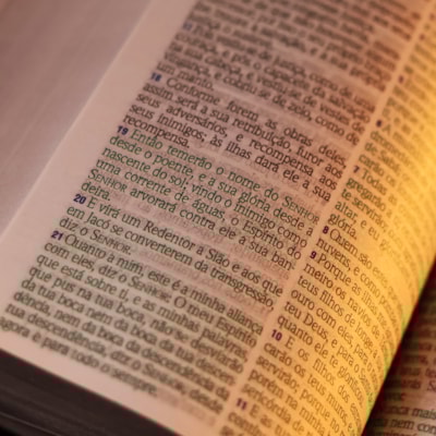 image_c8935991-a50f-494f-985a-6e7c67266476