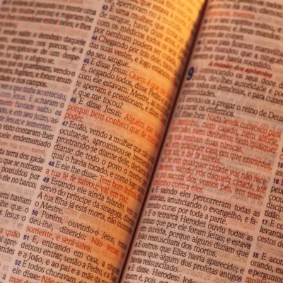 image_50960b3d-46d4-4be7-8f64-2de74d2cba5b