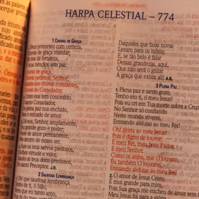 image_ea5698b8-0881-44af-a002-1a389c588ecf