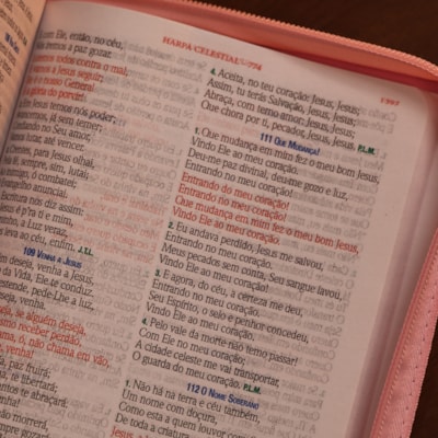 image_6ee5dcb7-0fc3-4d47-b7c1-9ea213202b23