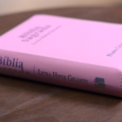 image_7a3d5e6e-2c88-49cd-8960-5d88b3d67680