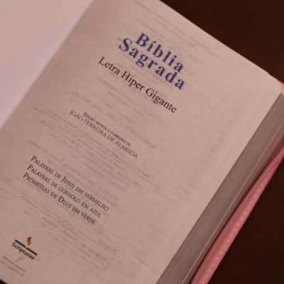 image_626159b9-d6a9-4661-b9b5-e5310de914d9