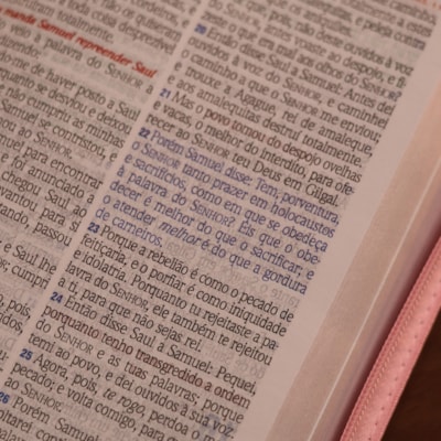 image_e3cc6c1b-3a73-4026-8739-a466909e2f69