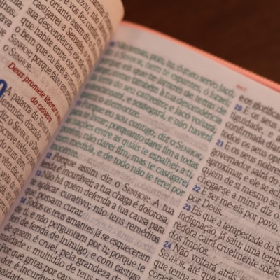 image_fab4ba20-2ddb-4b34-a4af-0f8cc5a10ae1