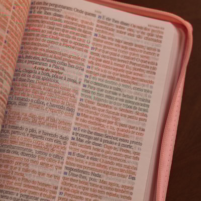 image_e71d3d89-8cb0-4aef-b394-b19656b644ff