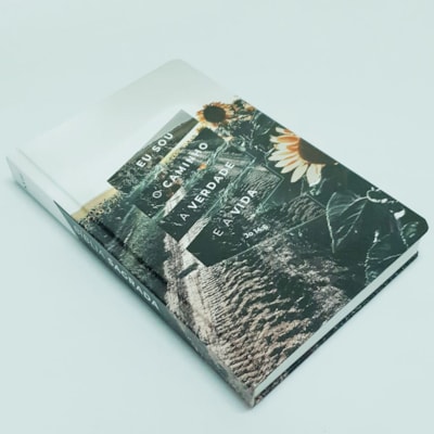 image_d0986a7b-4bf3-49eb-9d35-448a6c90dd5b