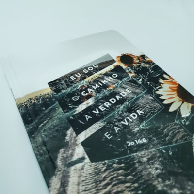 image_507905ed-cc1e-46a3-8b21-79ccb7971306