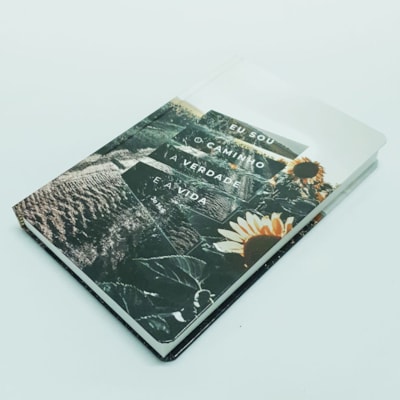 image_05ca971f-79c1-4547-a80a-2073f8836b46