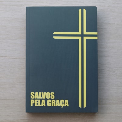 Segunda imagem do produto Bíblia Sagrada Capa Cruz | NVI | Capa Brochura Verde