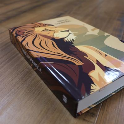 image_52867f60-d434-48a9-98a9-0daf1ba7e483