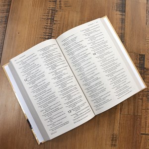 Bíblia Sagrada Capa Leão | NVI | Letra Normal | Capa Dura