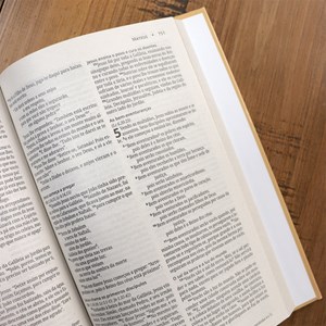 Bíblia Sagrada Capa Leão | NVI | Letra Normal | Capa Dura