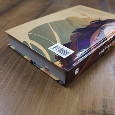 image_5fcdf5e5-9f14-4e2f-a4e9-5feea6909613