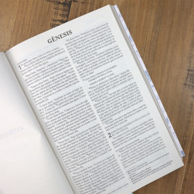 image_65857fd4-cafd-4510-a668-e01d02638d0c