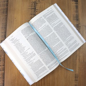 Bíblia Sagrada Capa Primavera| NVI | Letra Normal | Capa Dura