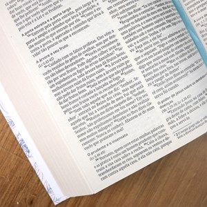 Bíblia Sagrada Capa Primavera| NVI | Letra Normal | Capa Dura