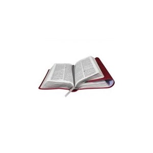 Bíblia Sagrada Carteira com Harpa Cristã | Letra Normal | ARC | Capa Couro Vermelha