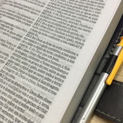 image_13a596ec-f87a-4a31-ae31-c1932340a206