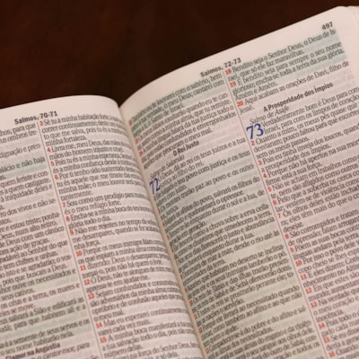 image_f46b9794-4778-452d-bcb4-c73c4e75659a