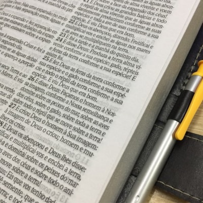 image_0245f74e-68e5-43ef-b318-579e70d489c1