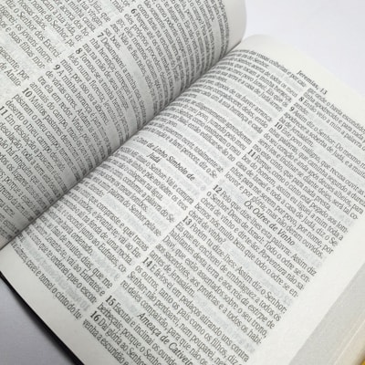 image_c7bb6104-c9f3-4d4d-a592-66472c1c481f