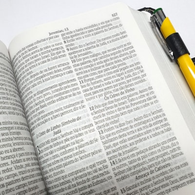 image_7430be84-92d7-417f-b298-bbe947a22bd5