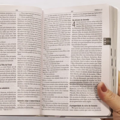 image_a3f4eff3-ac41-4022-9040-b5fcfd8c417a