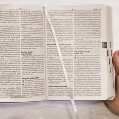 image_853805d8-5ddf-4275-9a67-7ed2ceb6db5e